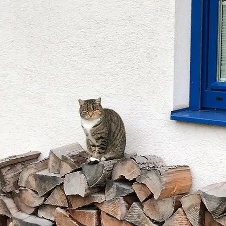 Haus Sonnenweg * Mariapfarr