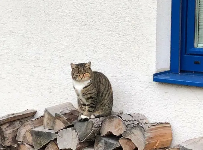 Haus Sonnenweg * Mariapfarr